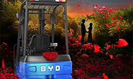 不止七夕，但愿朝夕